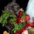Almost Heaven Collectible Santa 27 to 32 inch with black bears and sleigh 415 927 3527 Stone Soup Designs