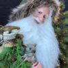 Woodland Wonders - Image 3