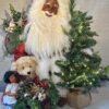 Joyous Christmas